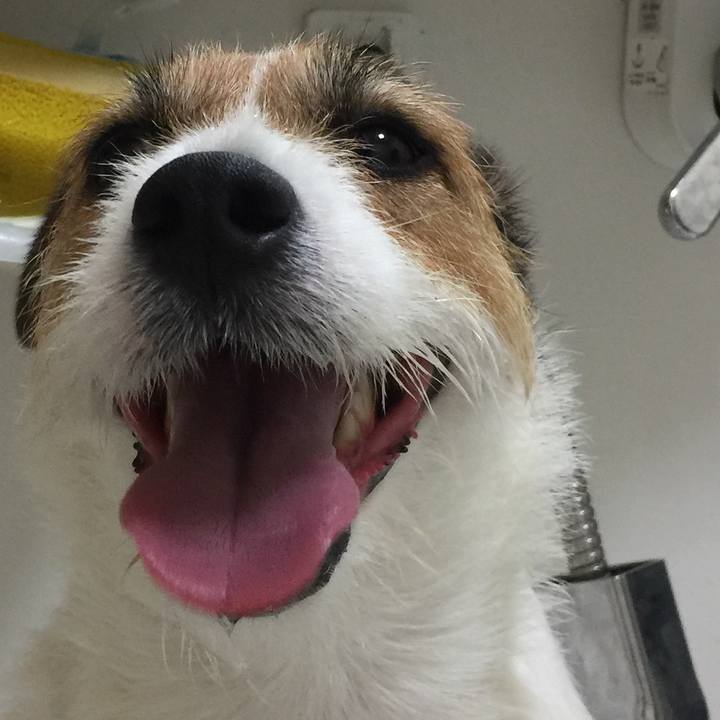 5da27230 d4a6 4087 b4c3 2b36fa55b397