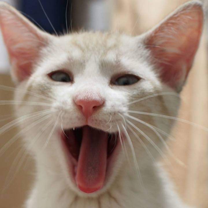 5da2b843 c470 41ec 833a 2910b3d3857f