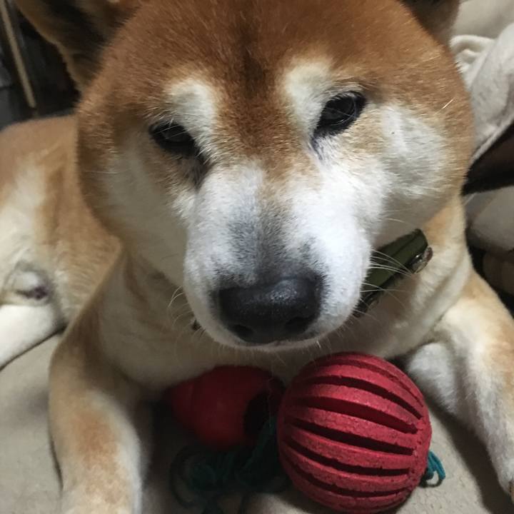 5da2fdd5 8918 4f3b 9cf3 454eef004c47