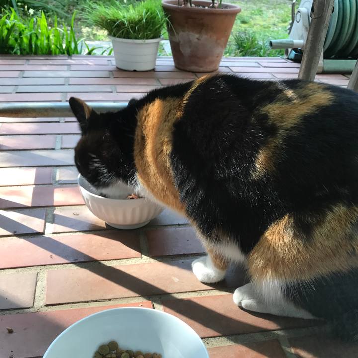 5da3047c 7ac5 43ff 986b fe2eaaf8946e