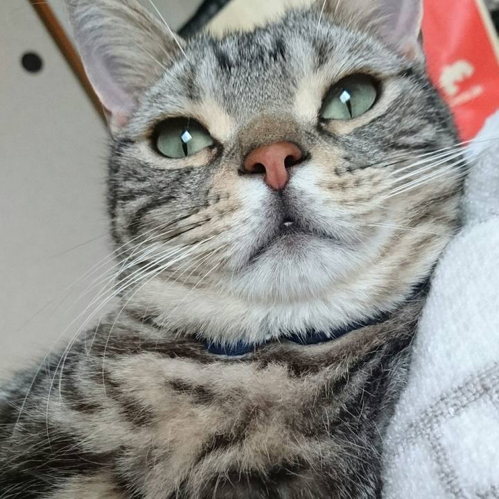 5da333e5 c3e8 419f af06 d04927e54ce4