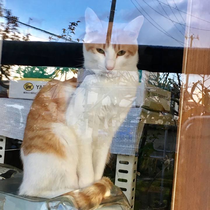 5da407a0 2668 4f18 8ed9 31a3c359a74e