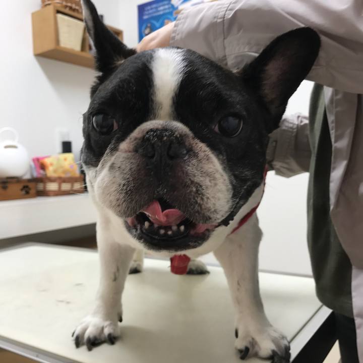 5da544e8 e7de 4e7b 84e3 c47b426b304a