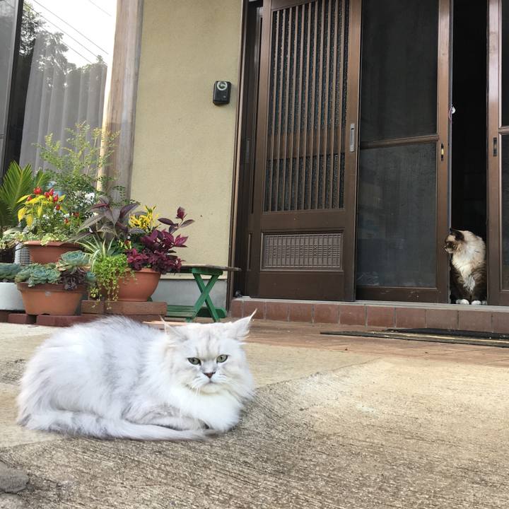 5da58301 fafd 4e29 abc7 f90fd6de4e93