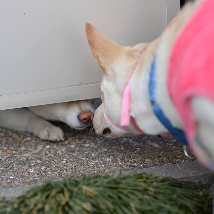 5da59ee9 8bbf 4ea8 8302 45c62b0e2dc0