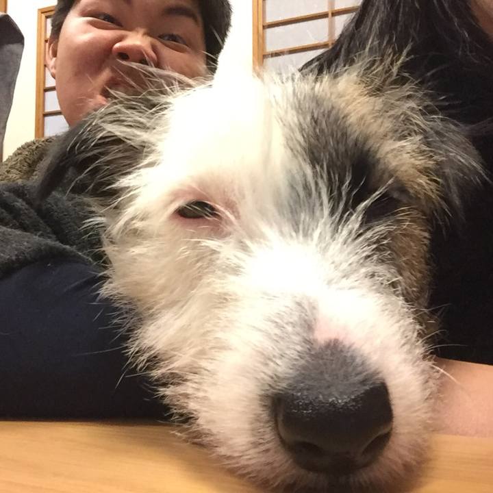 5da6239f c0ad 49c0 bd14 9b2bfd33b5dd