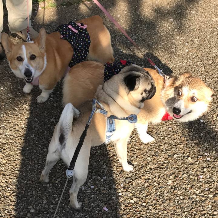 5da64565 f6bf 4d53 8956 98a0f2eeebfe