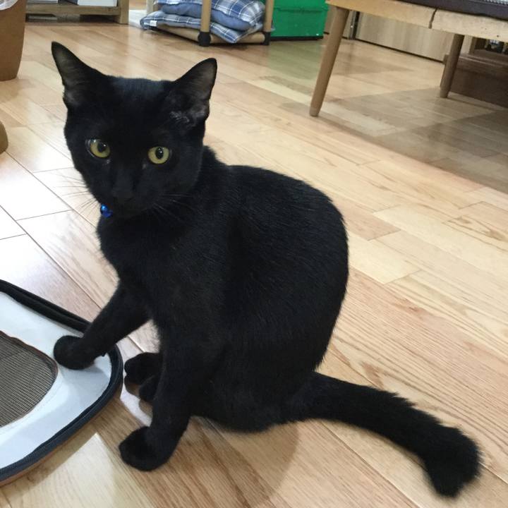 5da64f74 3899 4e52 9788 3205e91eaa33