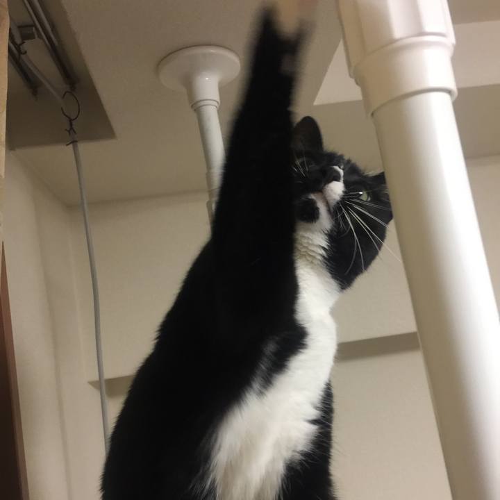 5da6ec88 c7cb 45a1 b9ef 3b9130ad6d8b