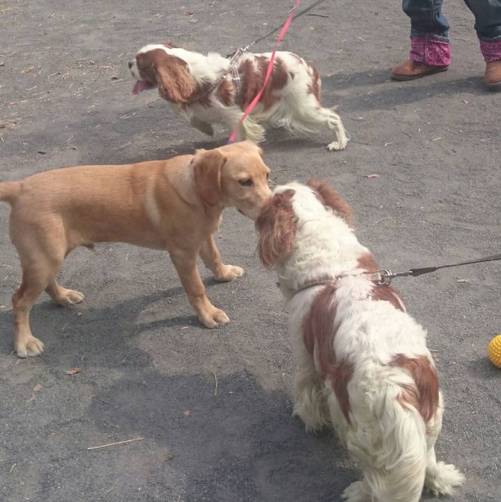 5da712f6 1dbf 41af 9c8c 7fc7a2d27c92