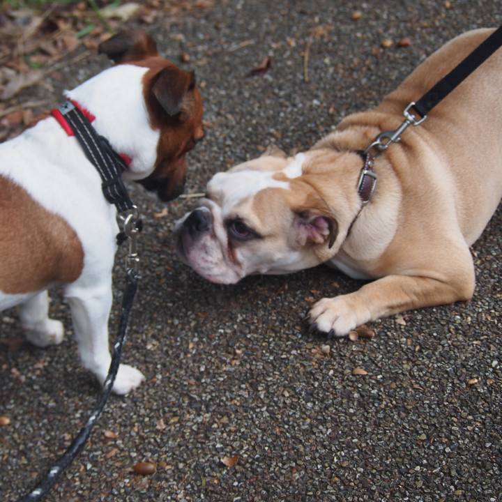 5da777cb 8b5d 44ca bf27 e38369a881e9