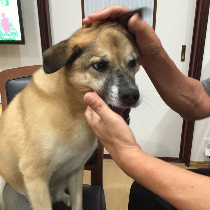 5da7cb25 1f30 453a b8b0 0a61eac075da