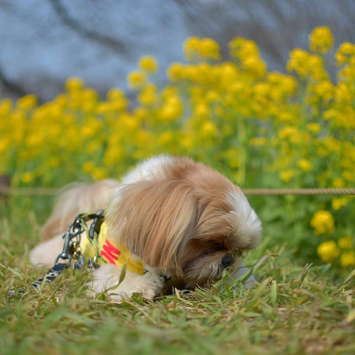 5da886c2 ad78 492c a90d fabd5cb1450b