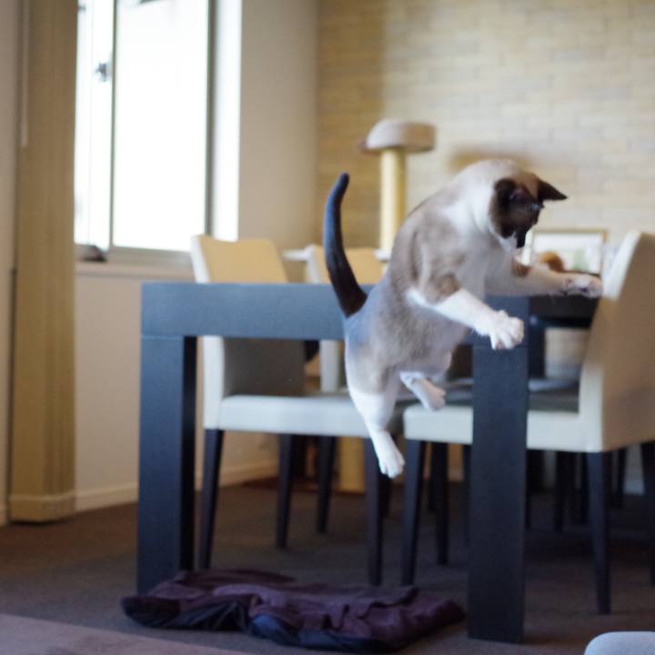 5da89e3a 69d7 45d7 9630 74b70f557087