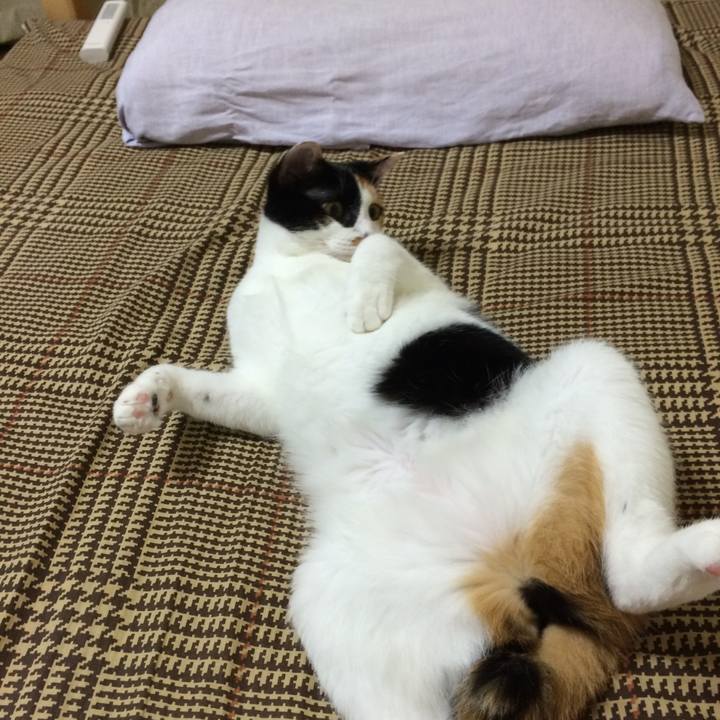 5da990cd 1b72 49fb 83d0 73cee901d540