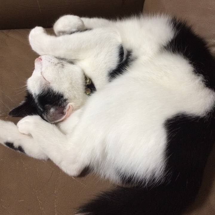 5da9b7b5 9a0d 42f9 a2e8 c2108444ca18