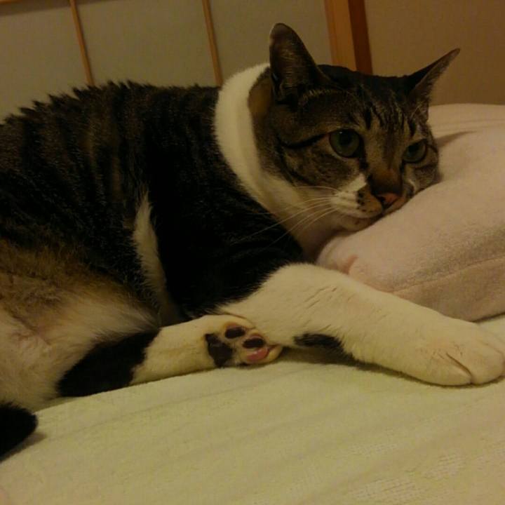 5da9e850 d77a 4e25 addd b87de470b124