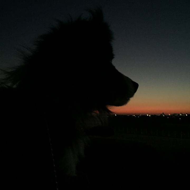 5daa0cc4 8739 4d5b a140 6fccbbbfc6f5