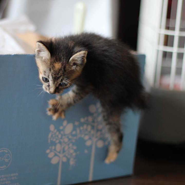 5daab517 d7b8 4b1e a807 7ca1e64dbaab