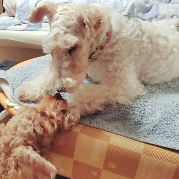 5daab5eb fa4d 4774 a310 68daf901f261