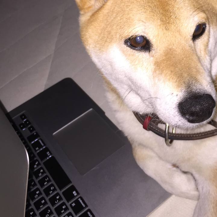 5dab7aef 5159 48c7 94a2 03e8300f1126