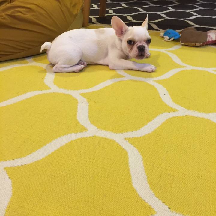 5dac10b9 ee84 4f29 9a84 dc24a5dbfa15