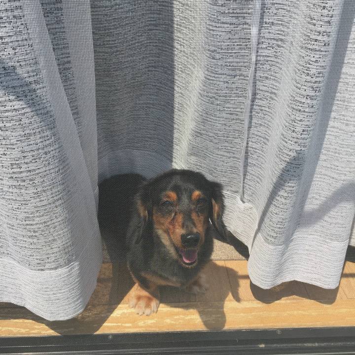 5daca4fb 0285 41db a6fe 12a94212720d