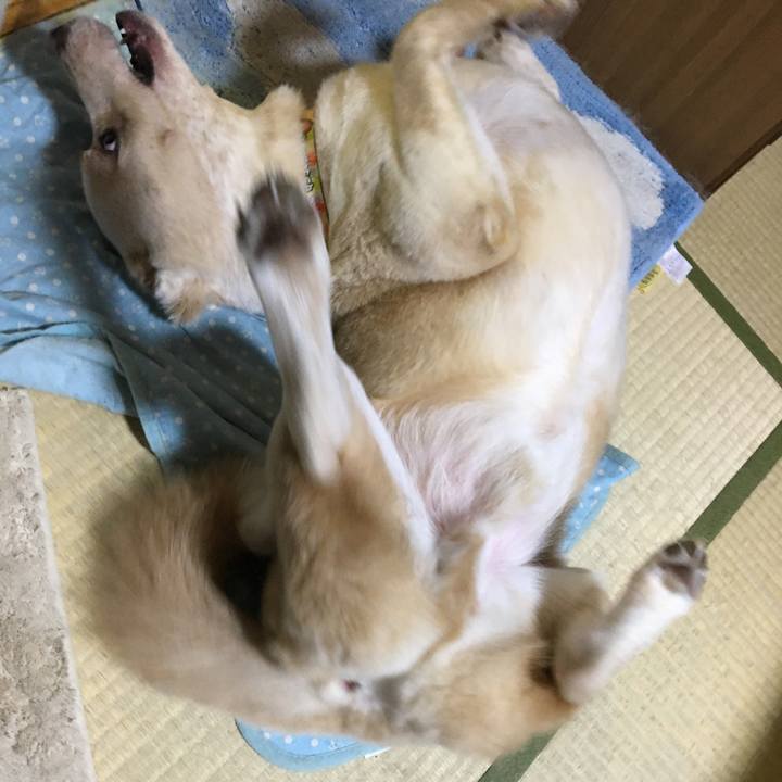 5dacc3e9 a947 4ccc 81b0 43b4af43099c