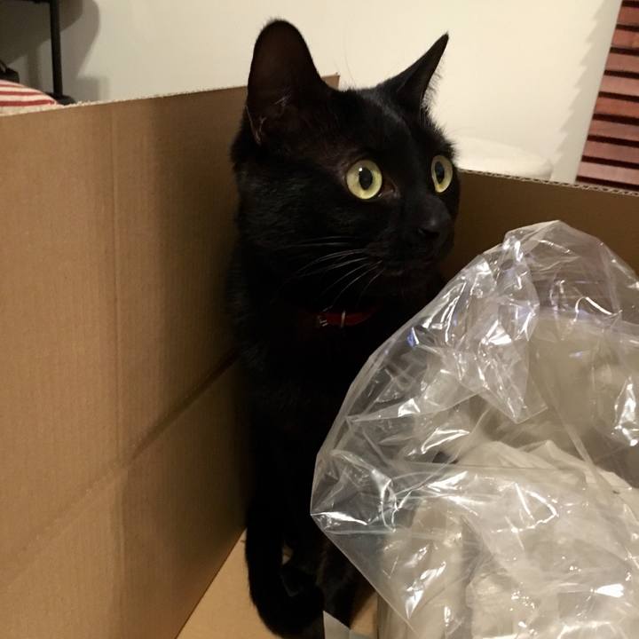 5dadbf1a 9b7f 4f3c 9cc3 2f2468ccb4bd