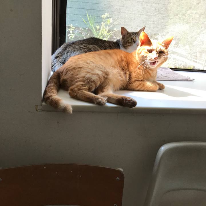 5db0185a 58c0 49f0 ae93 69f000b29c69