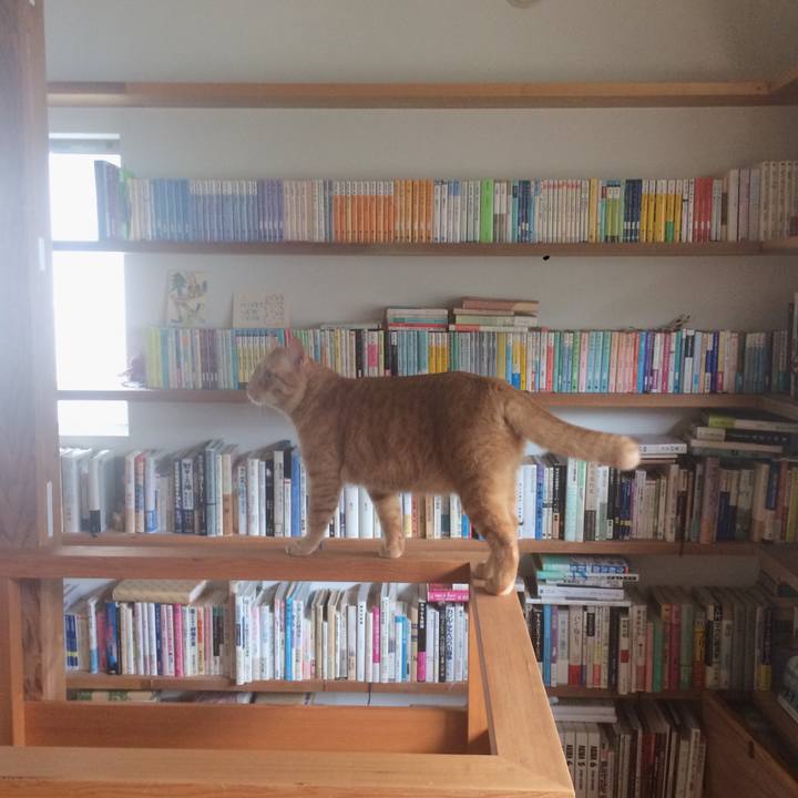 5db123a9 53f7 4eed bda8 9710f8ca4602