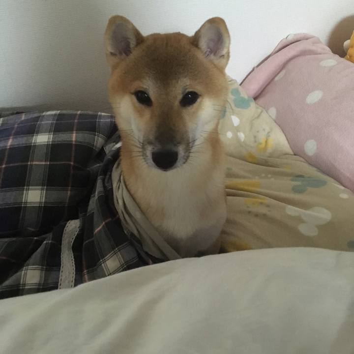 5db13227 f5d2 457e a317 4002029209f7