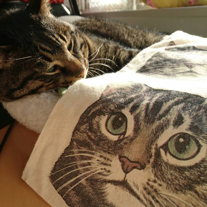 5db13a72 0c5d 4644 b763 0ad1c25b4552