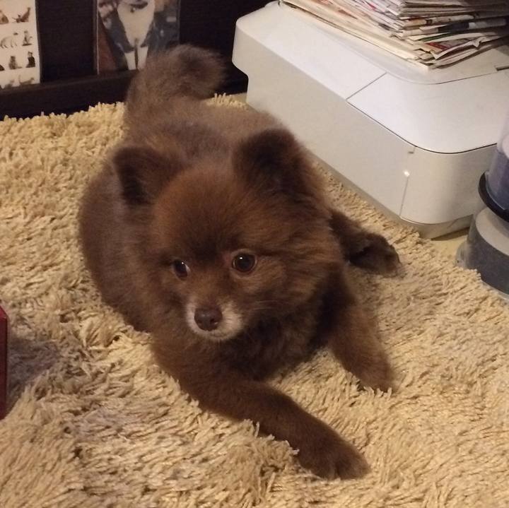 5db1bce0 6863 4535 a380 2cbfcda61c4b