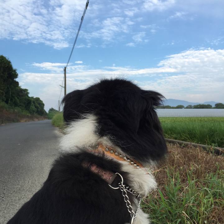 5db2adbb 0c2e 422f 98ee ac79f5223ceb