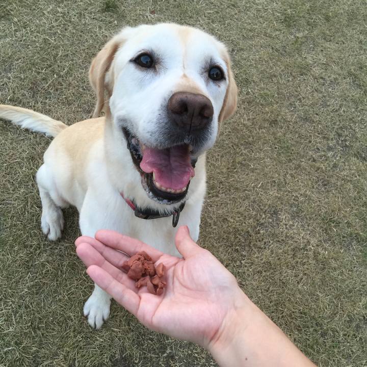 5db2f19b 57c1 460b 87ad ac8b3be9bb37