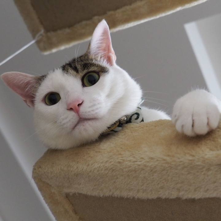 5db2f331 55c2 45d9 93db 2f1fd529df6f