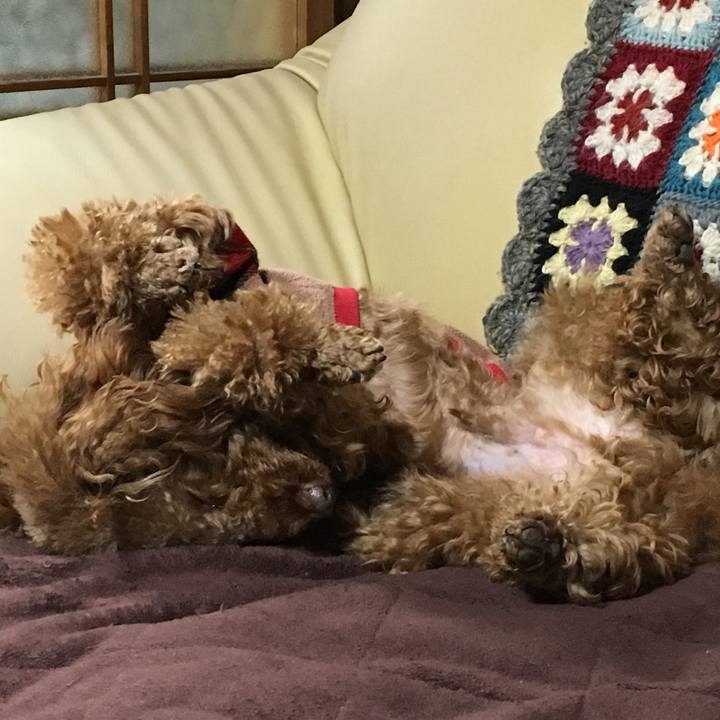 5db3bb53 5dcc 4e42 bf92 ab10ddaf9260