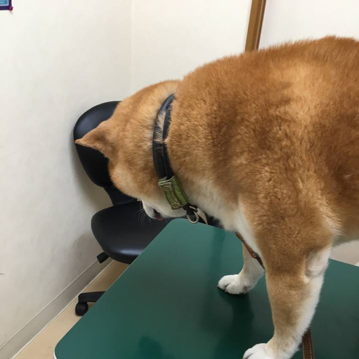 5db44481 87e2 4ced 88c7 ddddbcf61aad