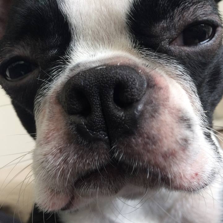 5db47dee da8f 4b8b 9efb 18916c8c27ef