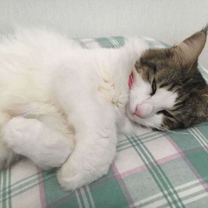 5db4f439 7f78 4583 9df6 253b6bc00a1f