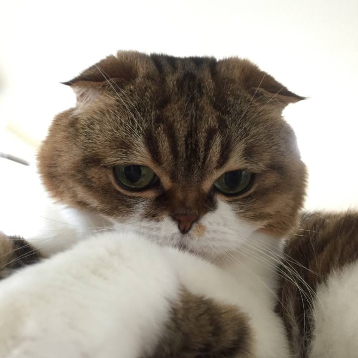 5db5273d b429 42c4 8393 e22cd664f465