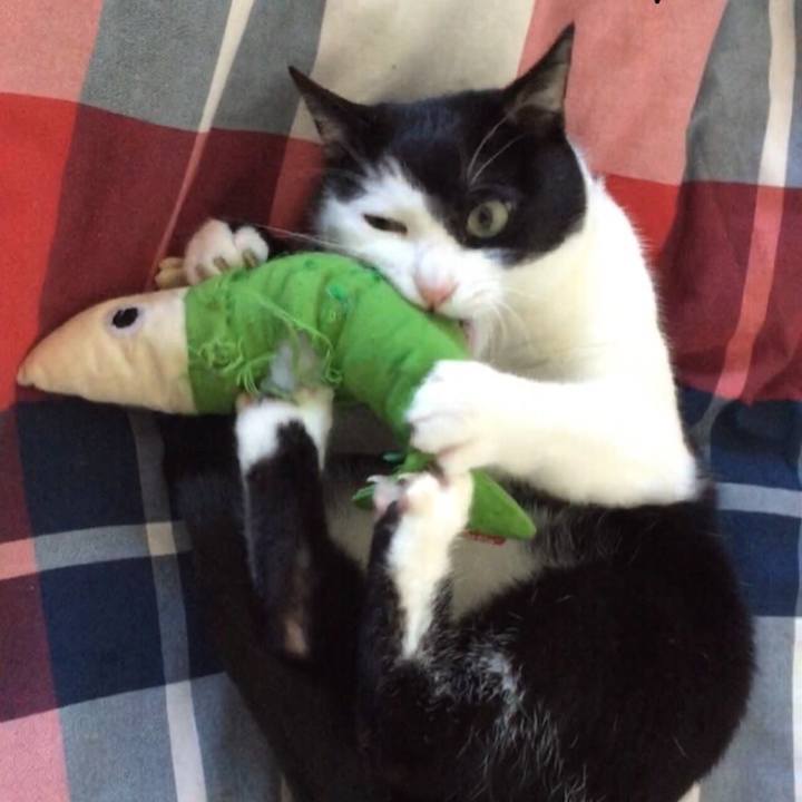 5db6039a b53b 4545 83cf 8fd524da4cfa