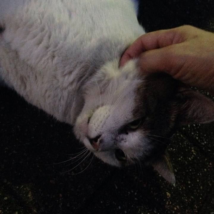 5db61452 3f29 4410 854d 50ef18f2a4dd