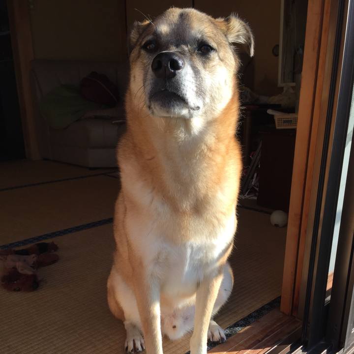 5db652c1 3e2f 41cf 9f39 e4040afcd12c