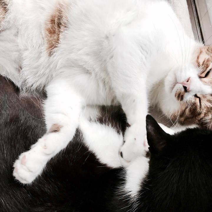 5db6ebda 0592 40e5 9775 096b08ad1bd4