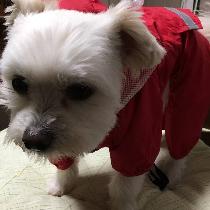 5db72d85 f28c 47f3 bf41 b1a6a84be9fd