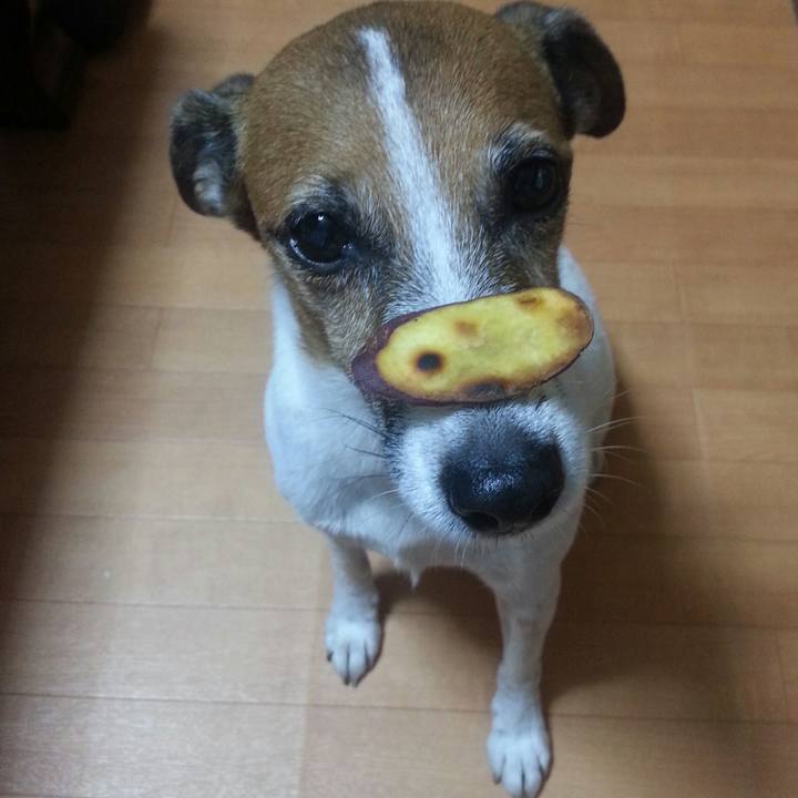 5db7559a 3c50 48c2 8bb7 1c85116fc47e