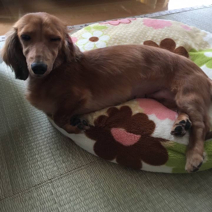 5db7b8ea 8278 4b7e 930a 0cdbd679d89e