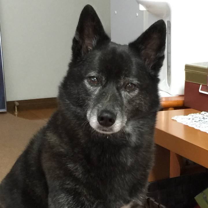 5db7d3eb 4b2a 4611 837d a1ee1f85717e